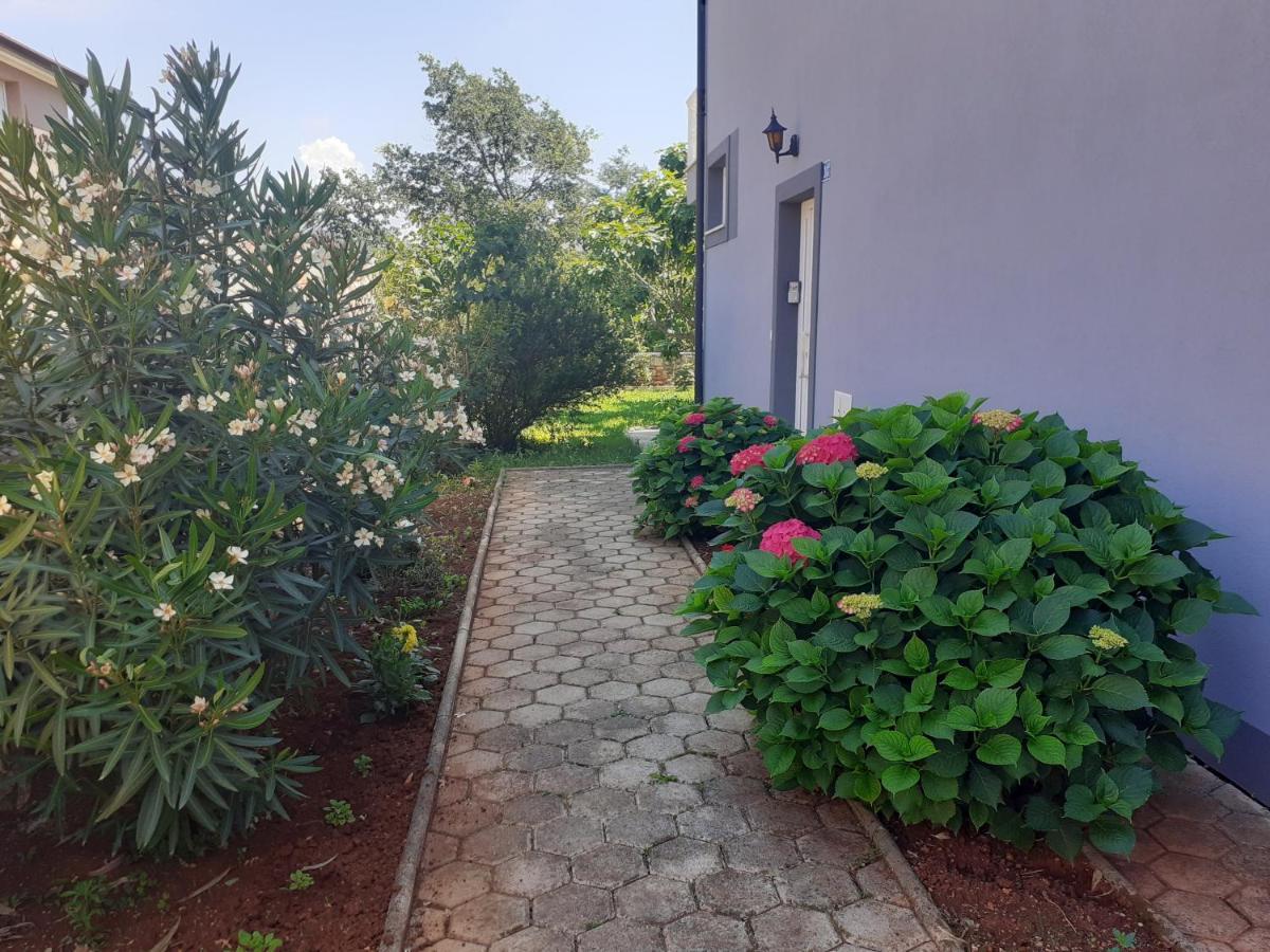 Bed And Breakfast Julia Seget  Exterior photo